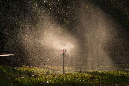 A water sprinkler in a gardenの写真素材