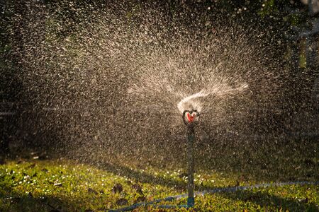 A water sprinkler in a gardenの写真素材