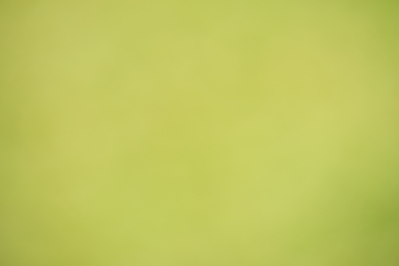 Green abstract bokeh background created in forestの写真素材