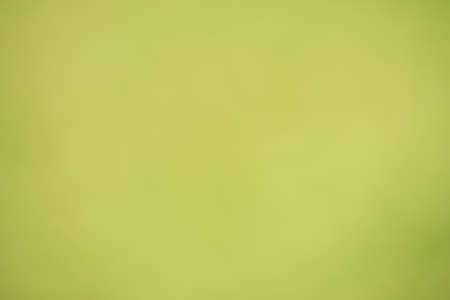 Green abstract bokeh background created in forestの写真素材