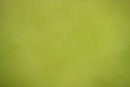 Green abstract bokeh background created in forestの写真素材