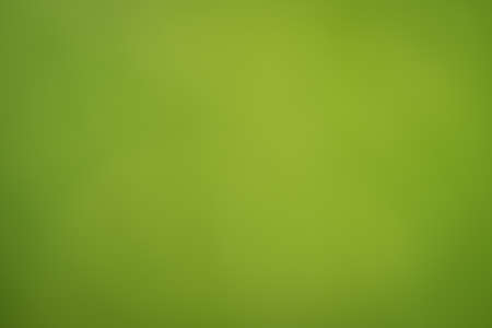 Green abstract bokeh background created in forestの写真素材