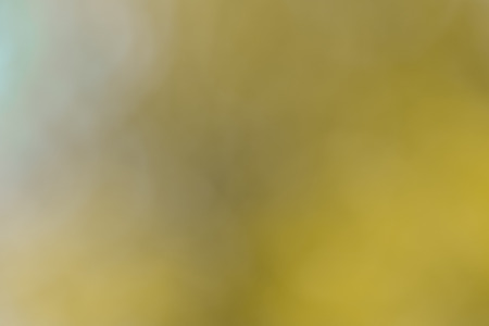 orange abstract bokeh background created in forestの写真素材