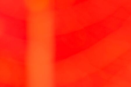 red abstract bokeh background created in forestの写真素材