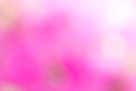 pink abstract bokeh background created in flowerの写真素材