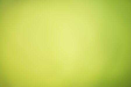 Green abstract bokeh background created in forestの写真素材