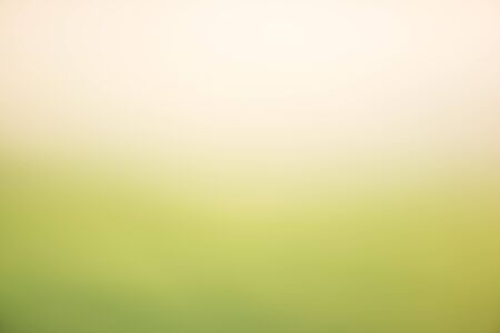 Green abstract bokeh background created in forestの写真素材
