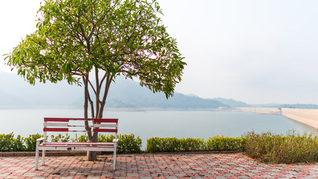 A wood chair under tree on a nature background, Memory alone chair alone past timeの写真素材