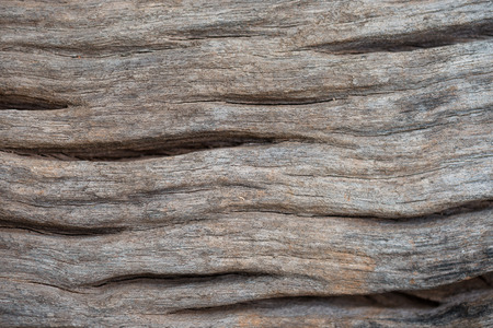 Old cracked wood grain texture backgroundの写真素材