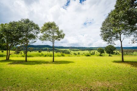 Landscape of meadow savanna in rainy season on top of green hill, thailandの写真素材