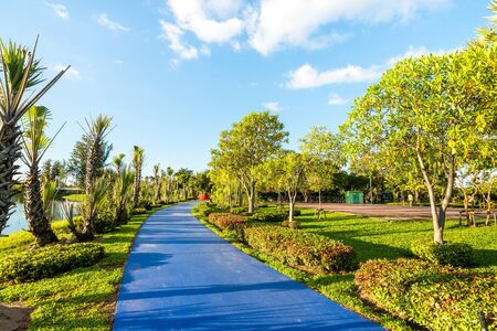 Landscape in city park with colorful sidewalk , Getaway for urbanitesの写真素材