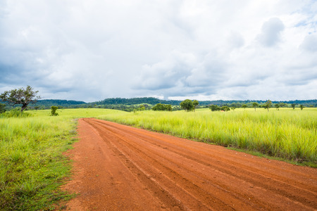 Landscape of meadow savanna in rainy season on top of green hill, thailandの写真素材