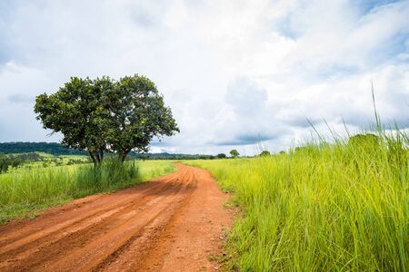 Landscape of meadow savanna in rainy season on top of green hill, thailandの写真素材