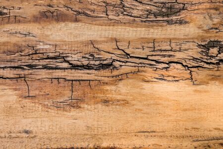 Grunge rough sawn wood board panel backgroundの写真素材