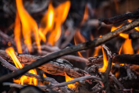 Wildfire burning with large flamesの写真素材