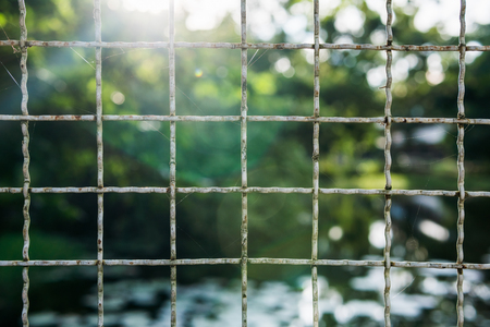 Old Chain Link Fencing Mesh, security conceptの写真素材