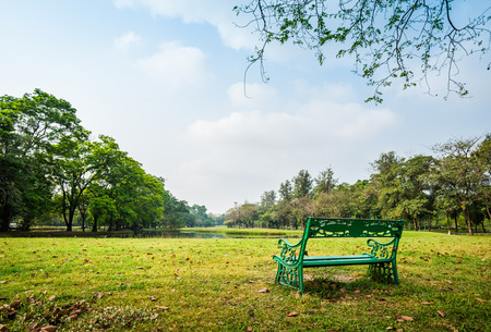 Green bench in Public Park with green grass field and tree in beautiful morning lightの写真素材