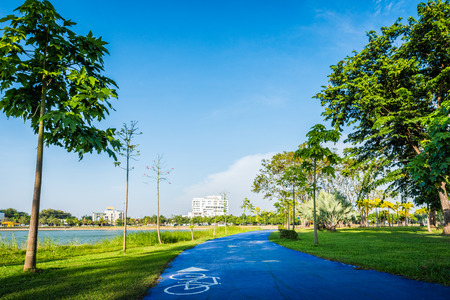 Footpath in Public Park with tree and green grass field backgroundの写真素材