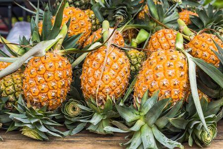 Fresh pineapple fruit for sale in the marketの写真素材