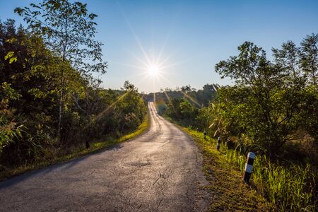 Single lens road in to the forest in morning with sunlightの写真素材