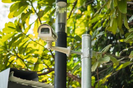 cctv security camera in garden on nature backgroundの写真素材