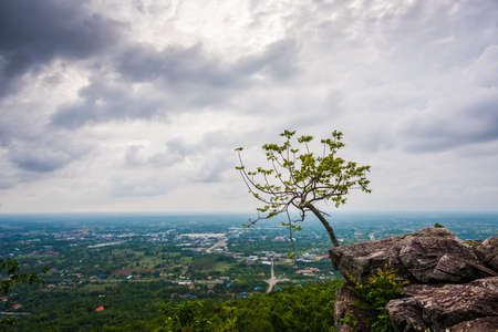 Aerial view, landscape of tree and city from the top of mountain with Rain cloudsの写真素材