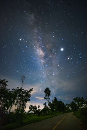 Landscape with Milky Way galaxy, Night sky with stars and silhouette of tree