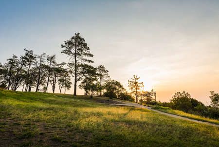 Landscape of pine tree from the top of mountain in morning in Phurua National Park, Loei Province...