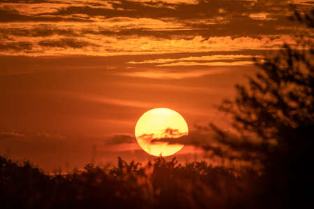 Colorful cloud and sky with big orange sun on sunset use for backgroundの写真素材