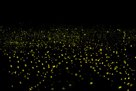 Yellow light bokeh of Firefly lightning bug on black background for graphic designの写真素材