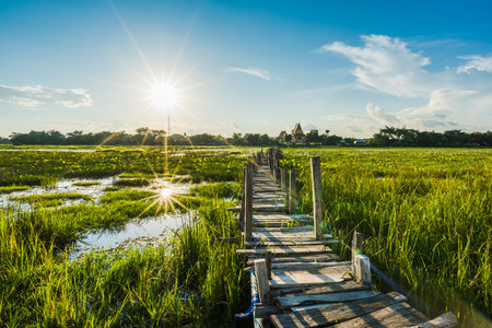 Long wooden bridge across the lake on sunset background at Kae Dam District, Maha Sarakham Province, Thailandの写真素材