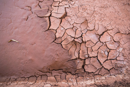 Crack ground texture background in dry land on summerの写真素材
