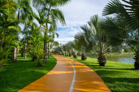 Empty street in park during sunset with beautiful sky, concept of exercise health and relaxationの写真素材