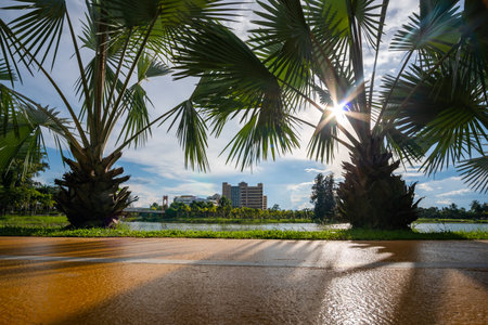 Empty street in park during sunset with beautiful sky, concept of exercise health and relaxationの写真素材
