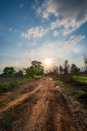 Dirt road in the countryside with beautiful sky on sunsetの写真素材