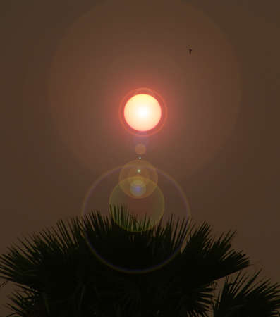 sunset and sky