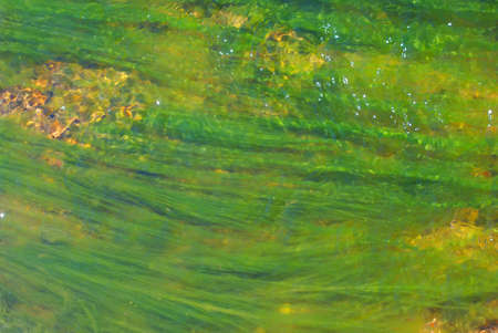 nature texture background