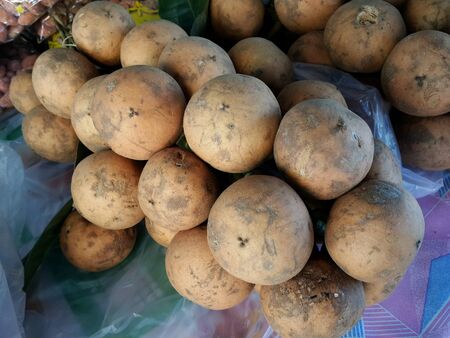 Baccaurea macrocarpa. Lang-Khae in Thai language.