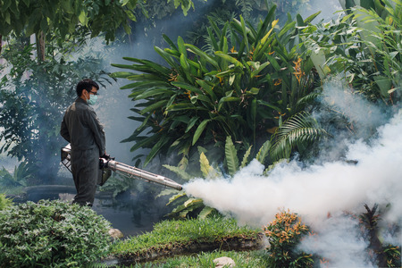 The man's fogging to eliminate mosquito for preventing spread dengue fever and zika virus in city