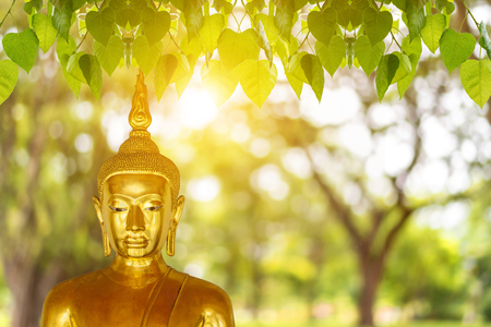 Buddha statue, blurred background with blurred backgroundの写真素材
