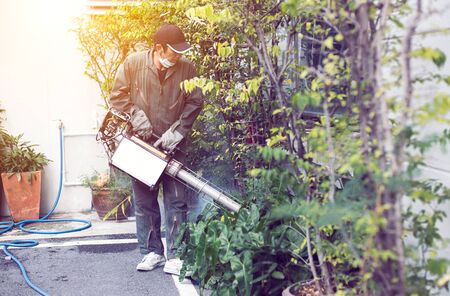 Man work fogging to eliminate mosquito for preventing spread dengue fever and zika virusの写真素材