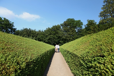 Portrait of romantic young couple walking on path in garden - Outdoor