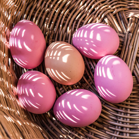 eggsの写真素材