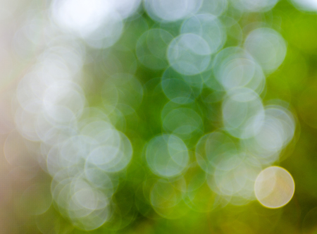 Green bokeh backgroundの写真素材