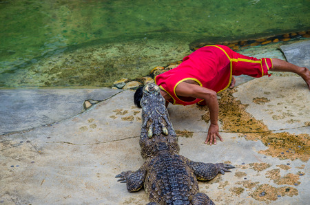 Man with crocodile.の写真素材