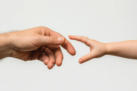 Man and child hands touching each other, isolated on white background.の素材