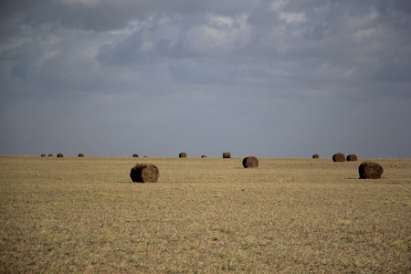 Hulun Buir Grasslandの写真素材