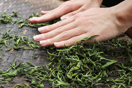 Twist tea leaves