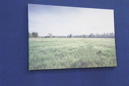 Green grass field close up blue background