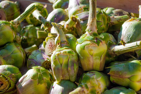 fresh seasonal vegetables for sale at street marketの写真素材
